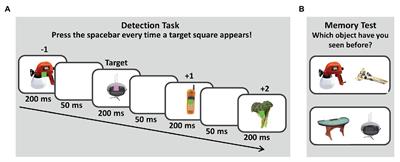 Does the Attentional Boost Effect Depend on the Intentionality of Encoding? Investigating the Mechanisms Underlying Memory for Visual Objects Presented at Behaviorally Relevant Moments in Time